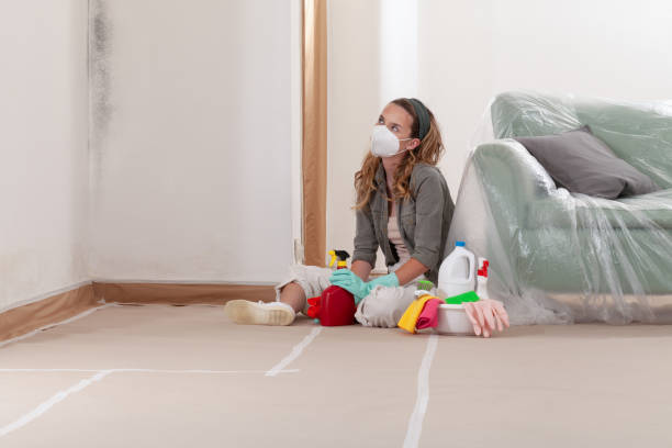 Reliable Commercial Mold Remediation contractor in Luke, MD by WQB Mold Removal